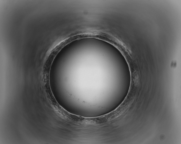 X0000100201448200806061311