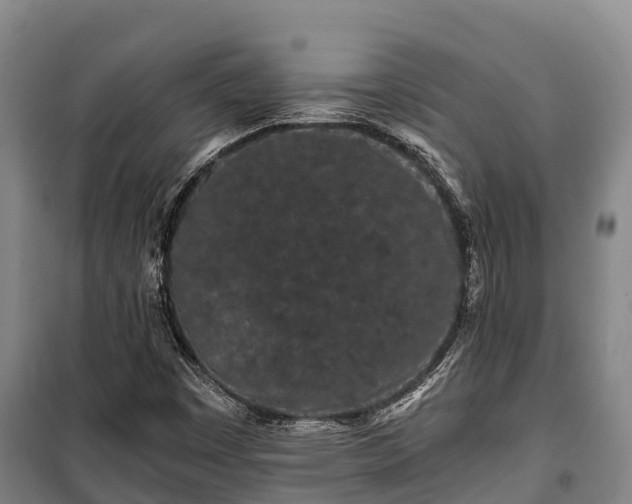 X0000100201449200806061311