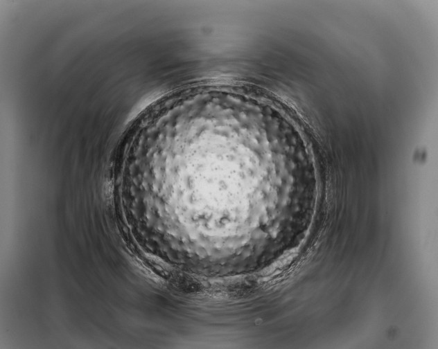 X0000100201450200806061311