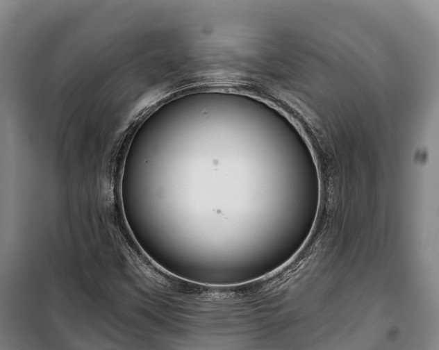 X0000100201451200806061311