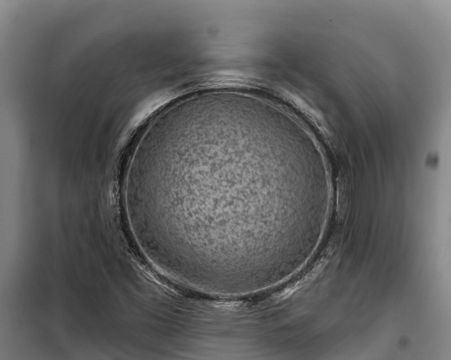 X0000100201453200806061311