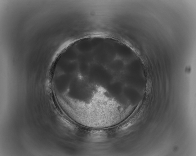 X0000100201454200806061311