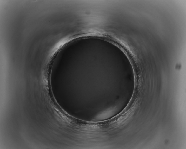 X0000100201455200806061311