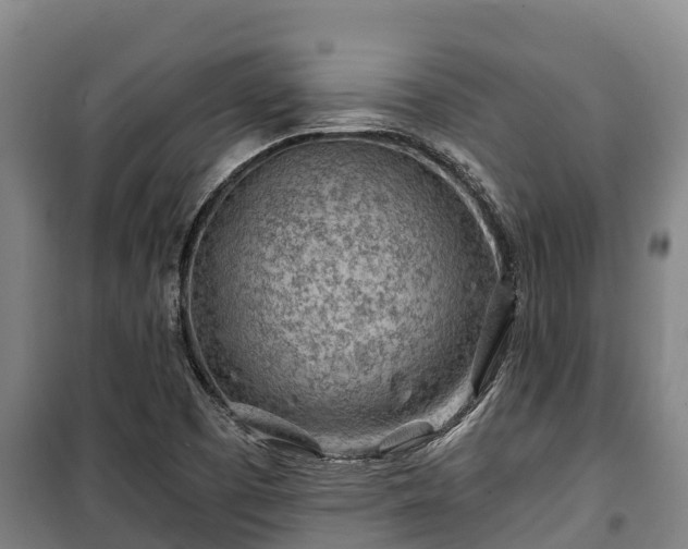 X0000100201457200806061311