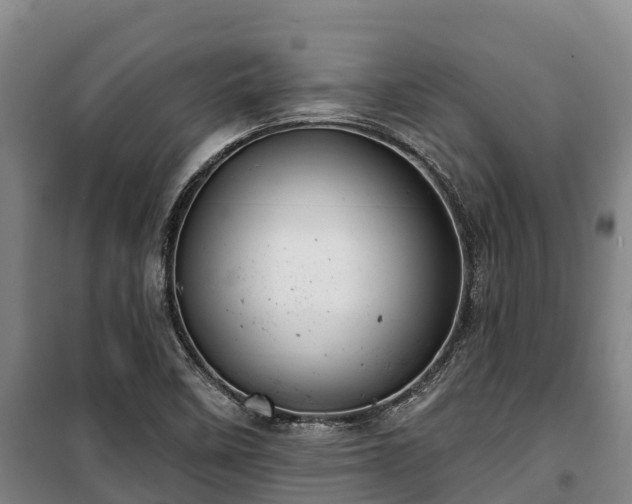 X0000100201458200806061311