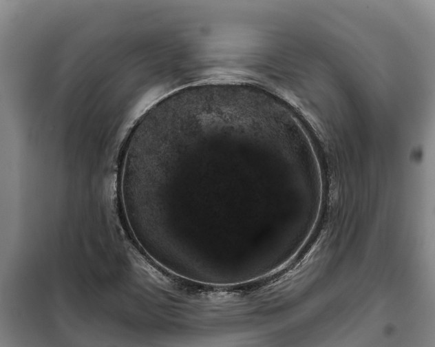 X0000100201459200806061311