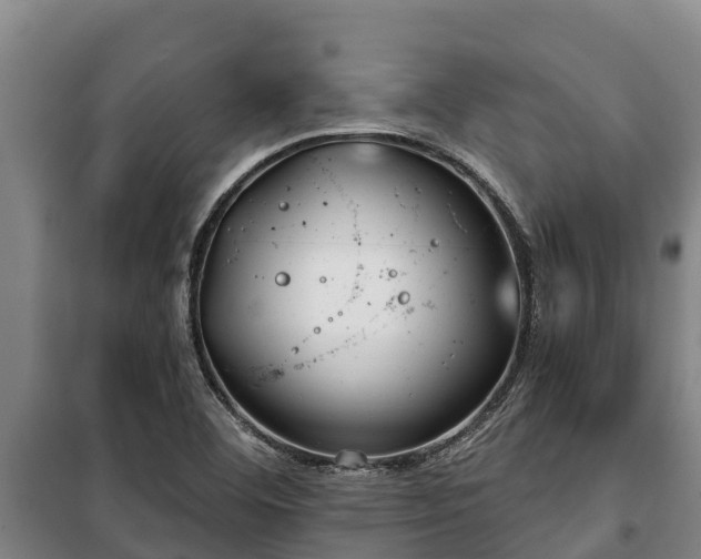 X0000100201460200806061311