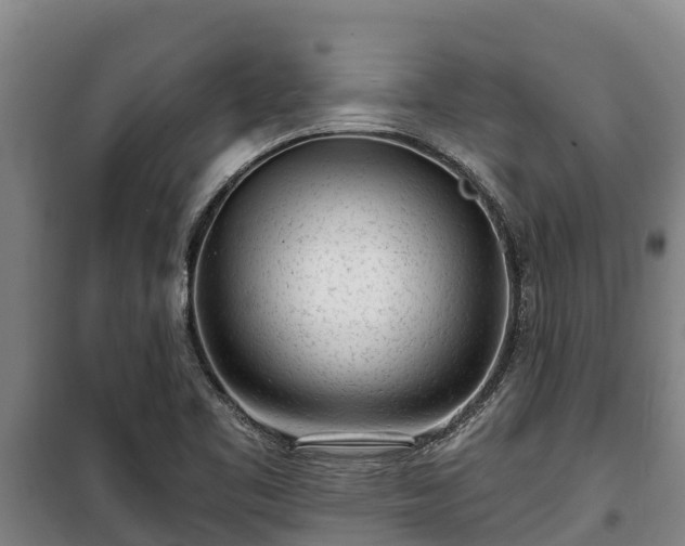 X0000100201461200806061311