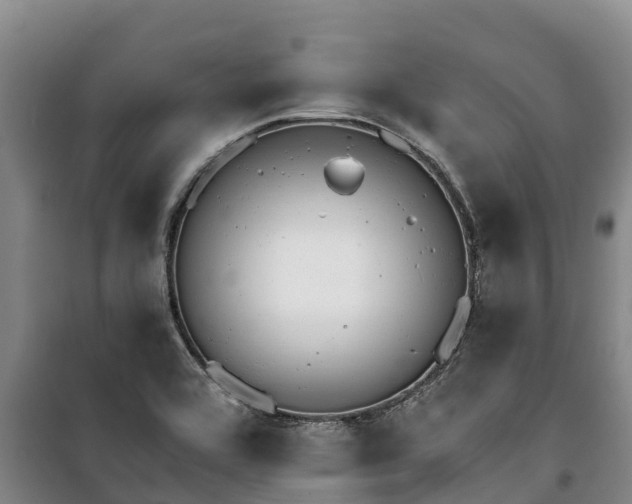 X0000100201464200806061311