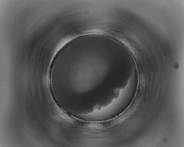 X0000100201466200806061311