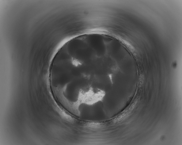 X0000100201470200806061311