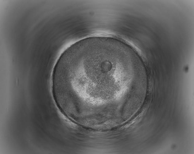 X0000100201471200806061310