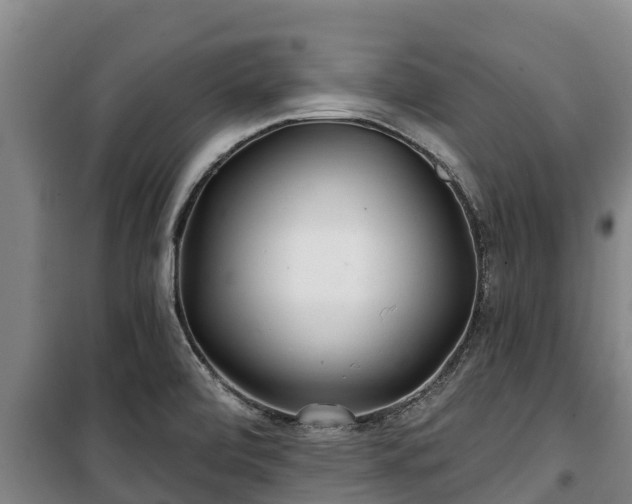 X0000100201472200806061310