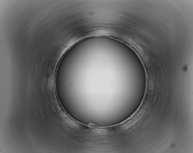 X0000100201473200806061310