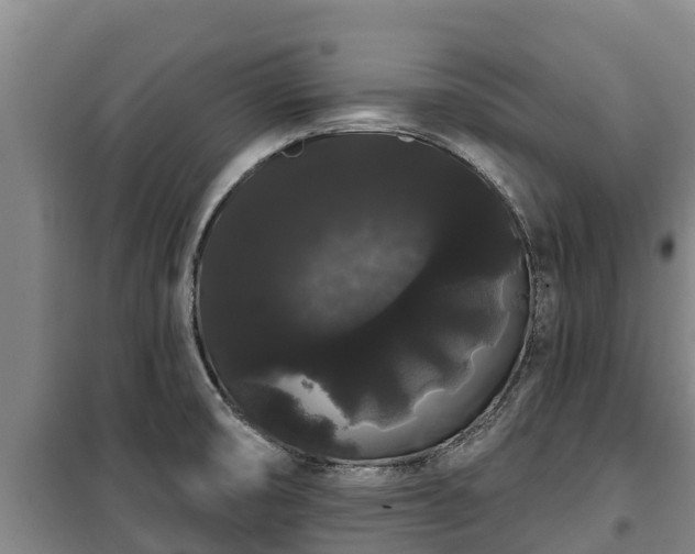 X0000100201474200806061310