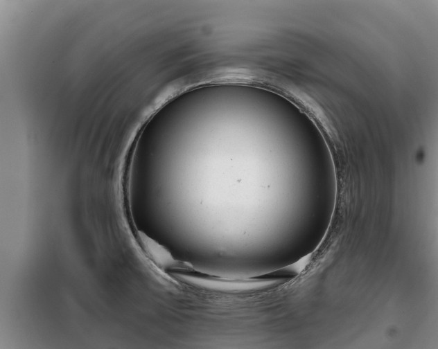 X0000100201475200806061310