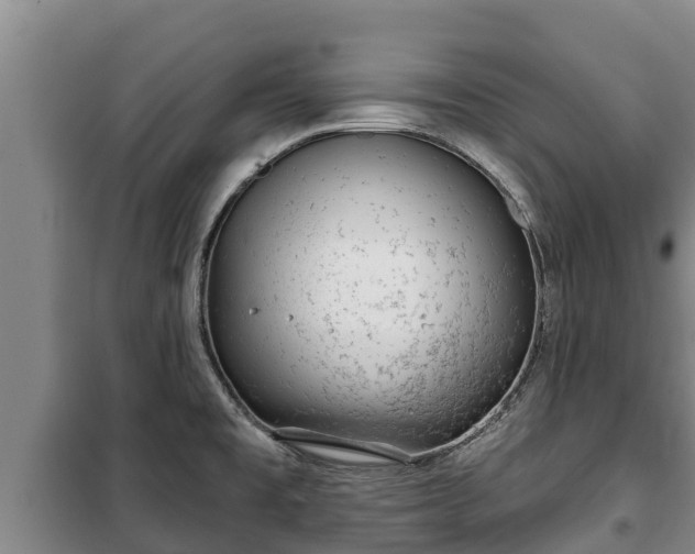 X0000100201477200806061310