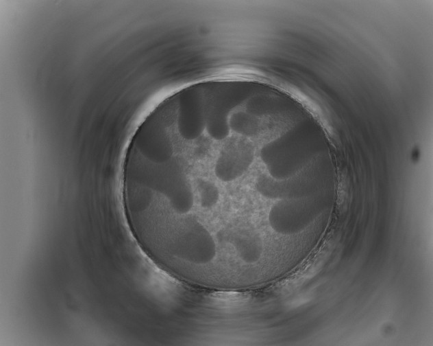 X0000100201478200806061310