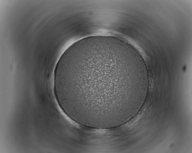 X0000100201479200806061310