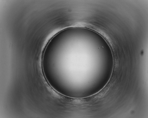 X0000100201480200806061310