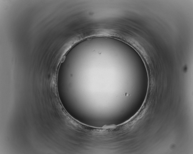 X0000100201481200806061310