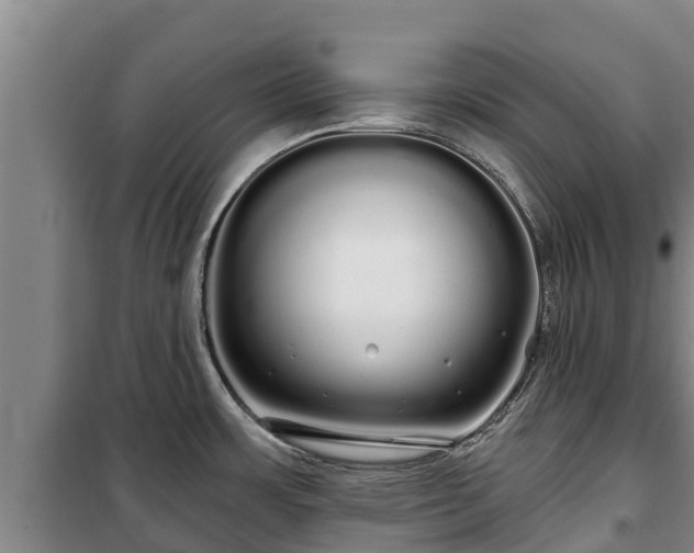 X0000100201483200806061310