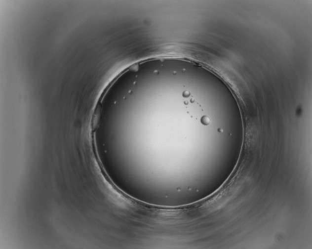 X0000100201484200806061310