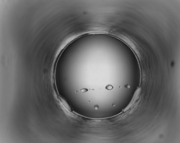 X0000100201485200806061310