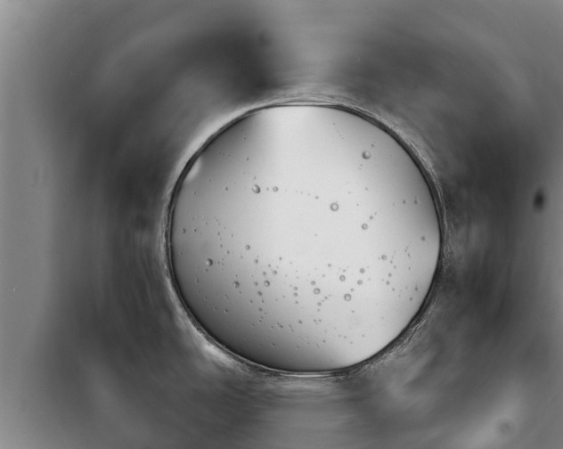 X0000100201486200806061310