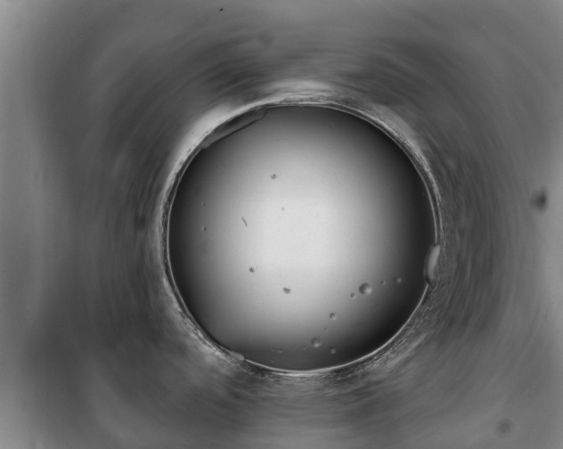 X0000100201488200806061310