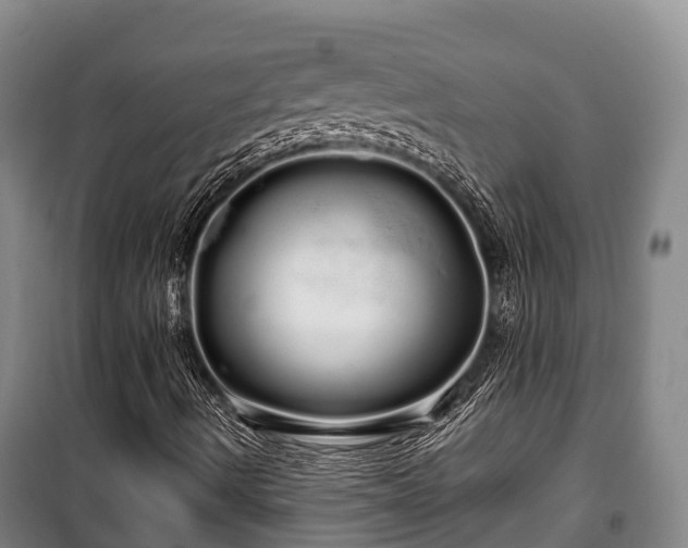 X0000100201490200806061310