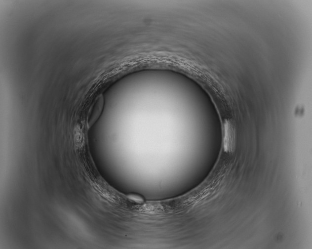 X0000100201491200806061310