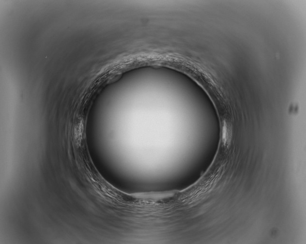 X0000100201492200806061310