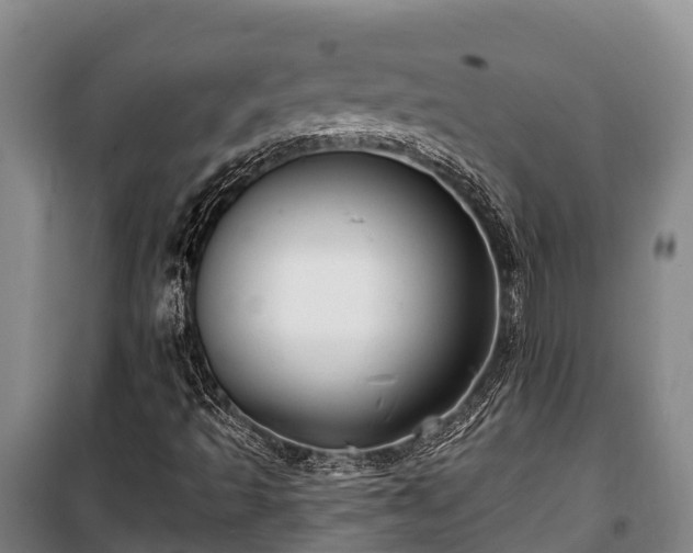 X0000100201493200806061310