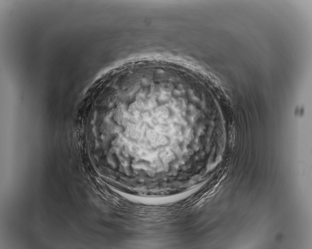 X0000100201494200806061310