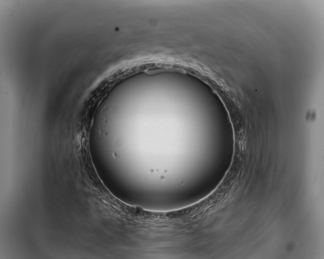 X0000100201495200806061310