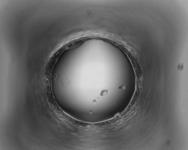 X0000100201496200806061310