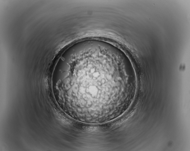 X0000100201497200806061310