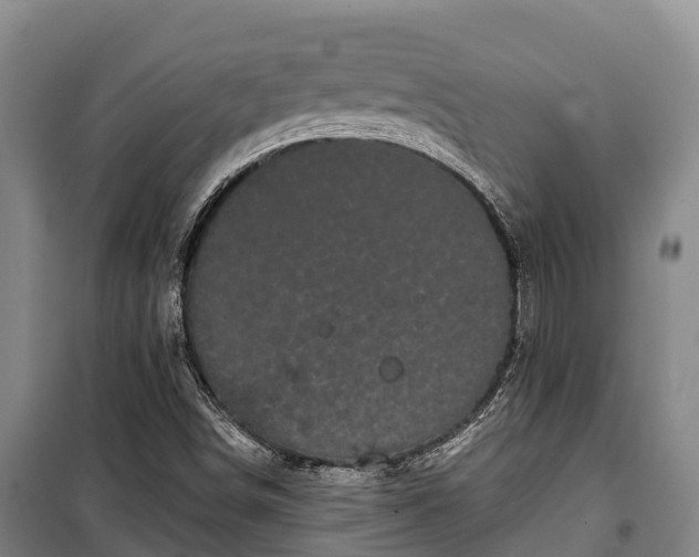 X0000100201498200806061310