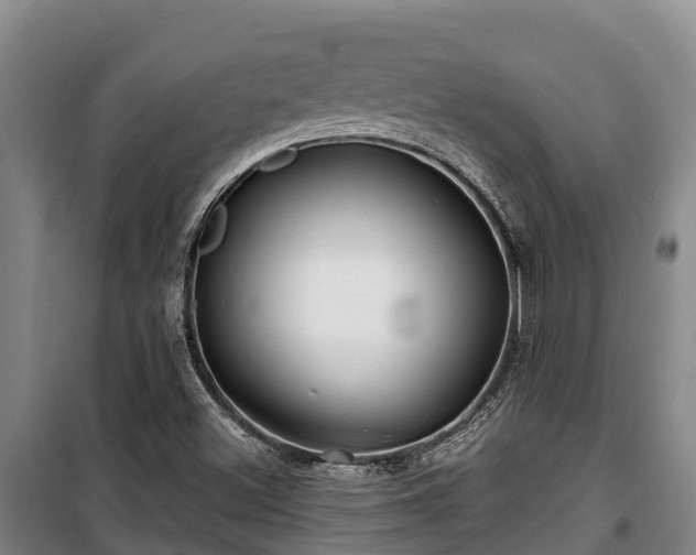 X0000100201500200806061310