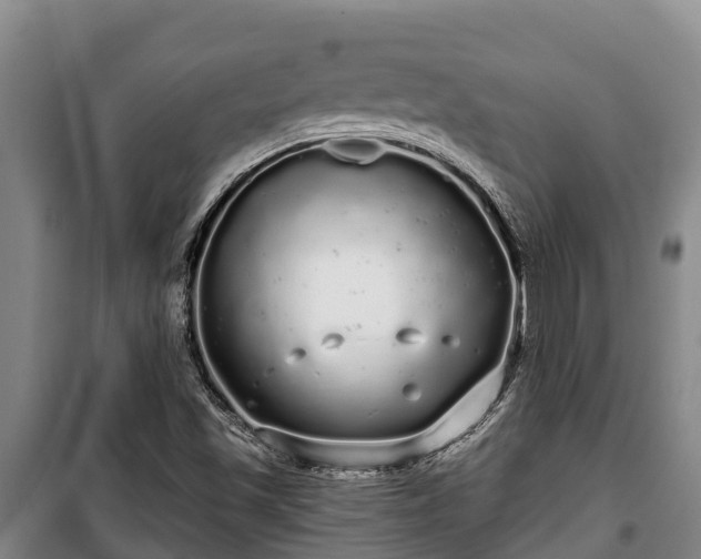 X0000100201501200806061310