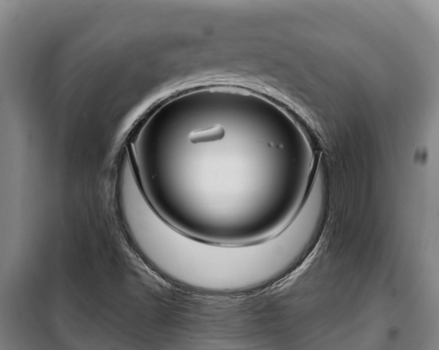 X0000100201502200806061310