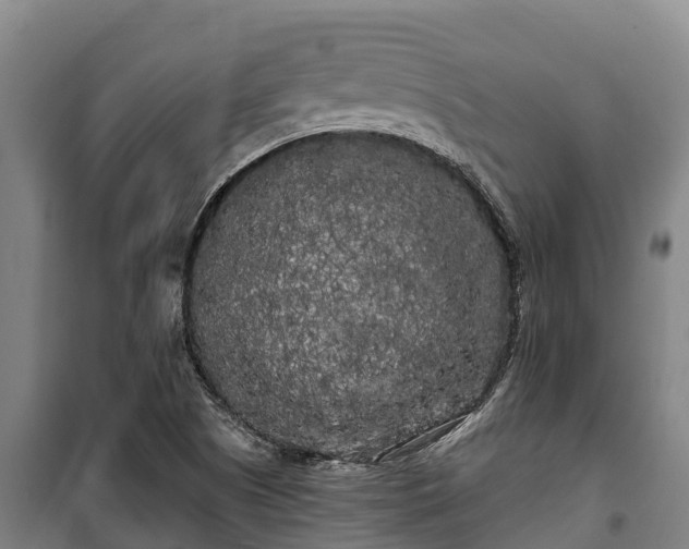 X0000100201505200806061310