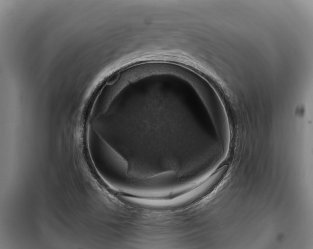 X0000100201506200806061310