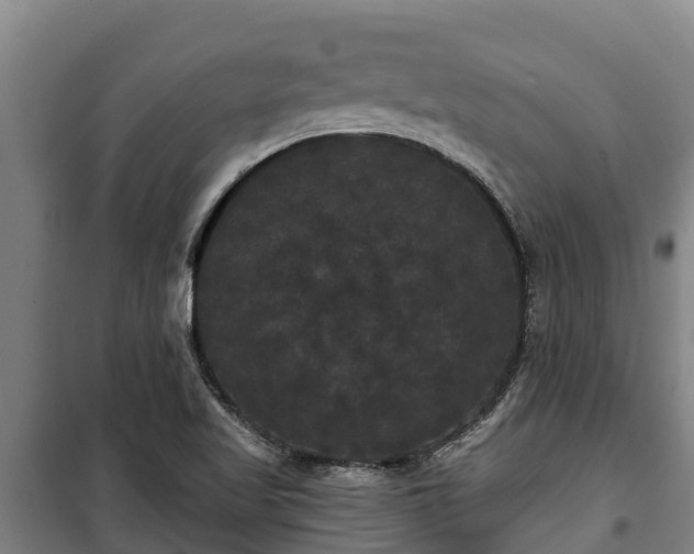 X0000100201509200806061310