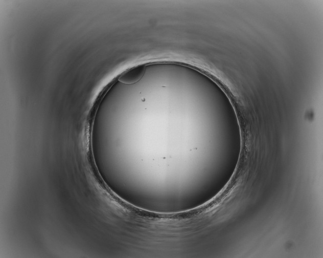 X0000100201510200806061310