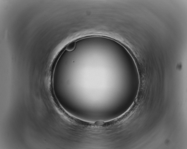 X0000100201511200806061310