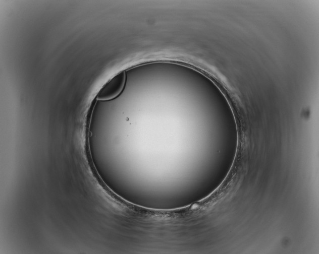 X0000100201512200806061310