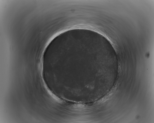 X0000100201515200806061310