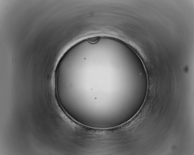 X0000100201516200806061310